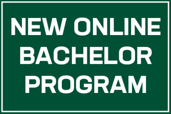 Online Bachelor